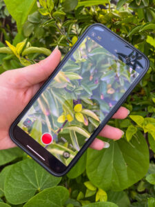 How to enable Cinematic Mode on iPhone